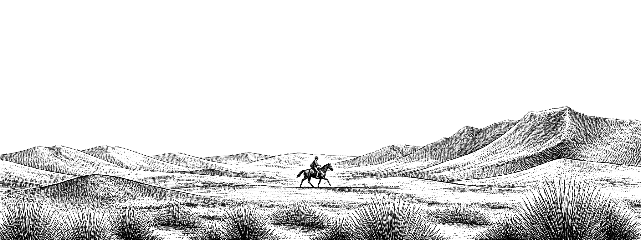The courier etching reversed: ink lines on a paper sky