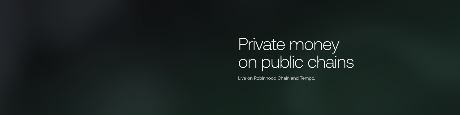 Gloam LinkedIn banner: the field with the line Private money on public chains