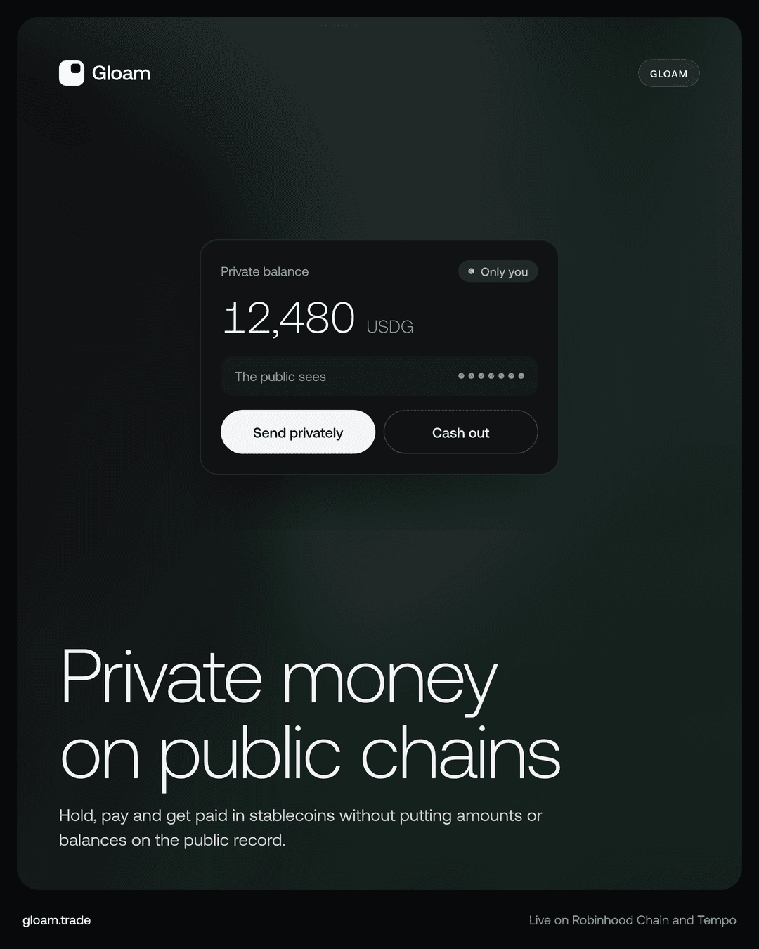 Tall post reading Private money on public chains