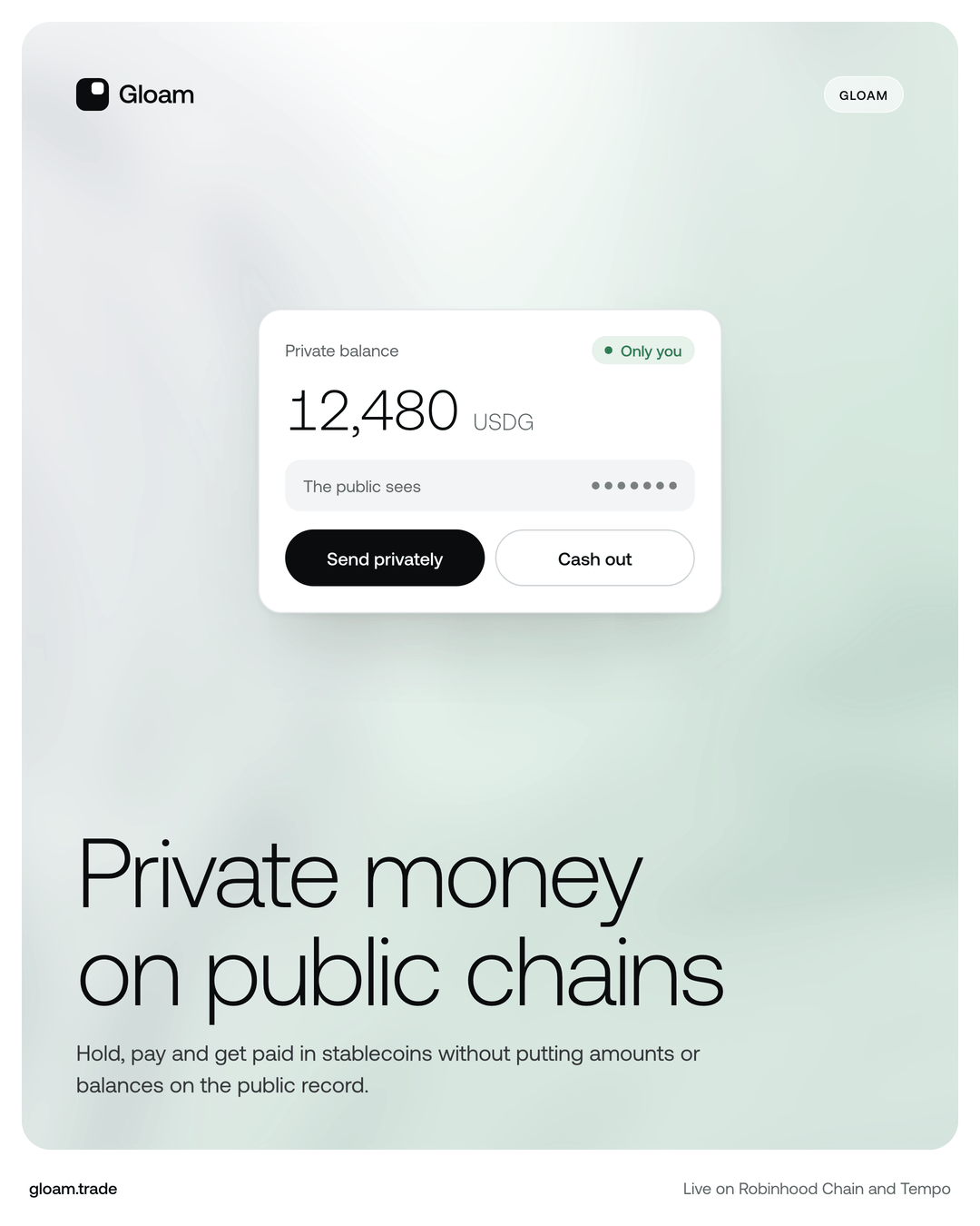 Tall post reading Private money on public chains
